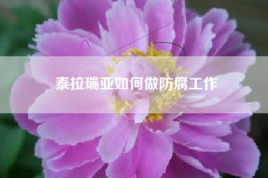 泰拉瑞亚如何做防腐工作