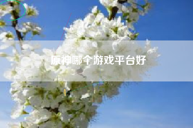 原神哪个游戏平台好