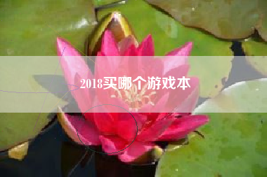 2018买哪个游戏本