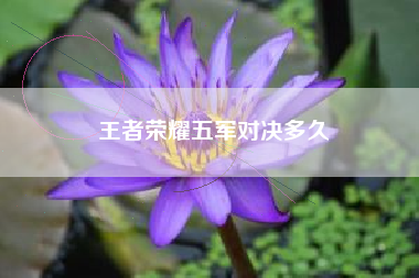 王者荣耀五军对决多久