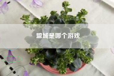 盟城是哪个游戏