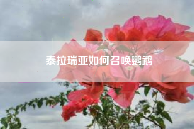 泰拉瑞亚如何召唤鹦鹉