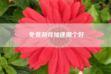 免费游戏加速哪个好