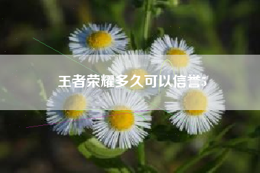王者荣耀多久可以信誉5