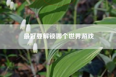 最好要解锁哪个世界游戏