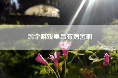 哪个游戏里吕布厉害啊