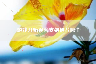 游戏开箱视频支架推荐哪个