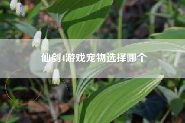仙剑4游戏宠物选择哪个