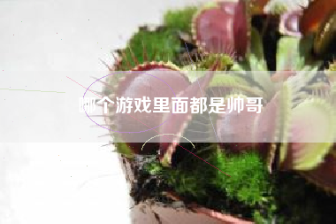 哪个游戏里面都是帅哥