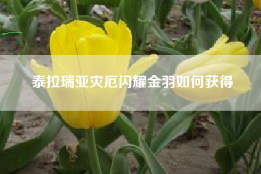 泰拉瑞亚灾厄闪耀金羽如何获得