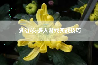 梦幻s发f多人游戏实战技巧