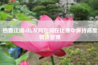 热血江湖sf私发网如何在比赛中保持高度物资管理