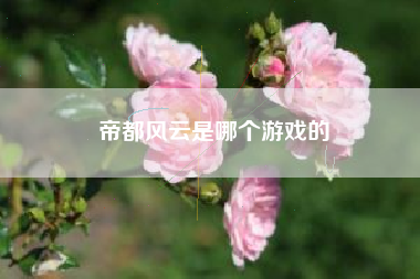 帝都风云是哪个游戏的