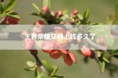 王者荣耀艾琳上线多久了