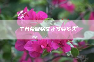 王者荣耀铭文补发要多久