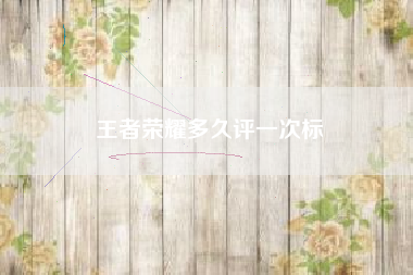 王者荣耀多久评一次标
