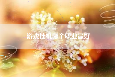 游戏挂机哪个职业最好