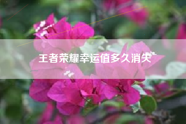 王者荣耀幸运值多久消失