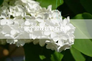 哪个游戏联动石老师