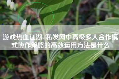 游戏热血江湖sf私发网中高级多人合作模式协作策略的高效运用方法是什么
