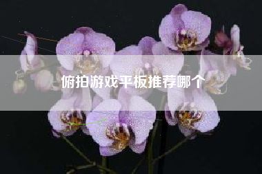 俯拍游戏平板推荐哪个