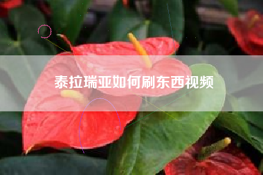 泰拉瑞亚如何刷东西视频