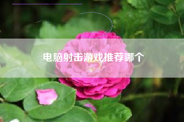 电脑射击游戏推荐哪个