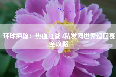 环球探险：热血江湖sf私发网世界巡回赛全攻略