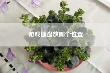 游戏键盘放哪个位置