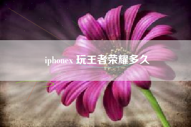 iphonex 玩王者荣耀多久