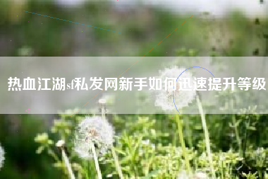 热血江湖sf私发网新手如何迅速提升等级