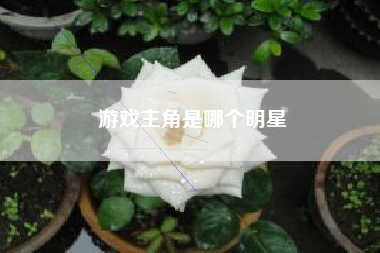 游戏主角是哪个明星