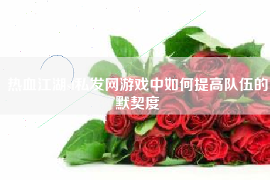 热血江湖sf私发网游戏中如何提高队伍的默契度