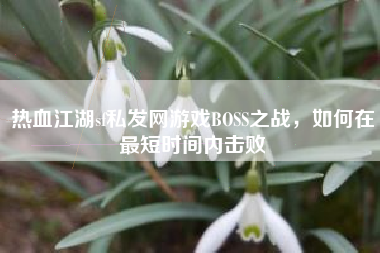 热血江湖sf私发网游戏BOSS之战，如何在最短时间内击败