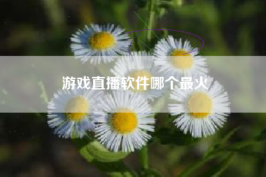 游戏直播软件哪个最火