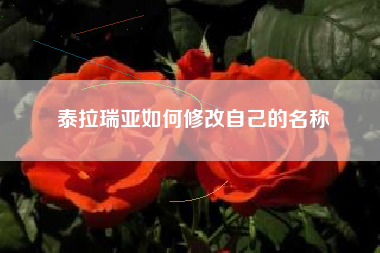 泰拉瑞亚如何修改自己的名称