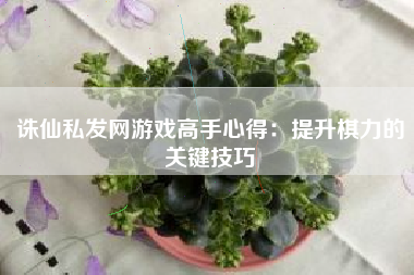 诛仙私发网游戏高手心得：提升棋力的关键技巧