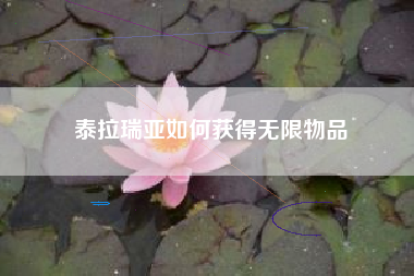 泰拉瑞亚如何获得无限物品