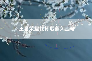 王者荣耀代打后多久上号