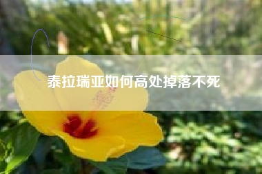 泰拉瑞亚如何高处掉落不死