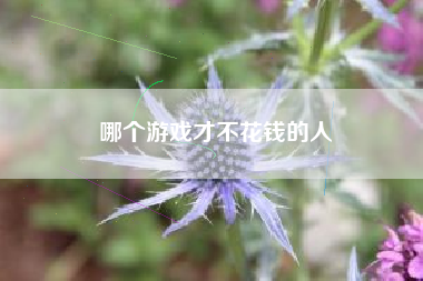 哪个游戏才不花钱的人