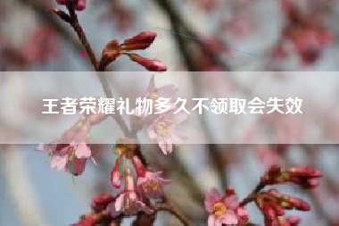 王者荣耀礼物多久不领取会失效