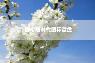 哪个是游戏图标键盘