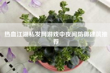 热血江湖私发网游戏中夜间防御建筑推荐