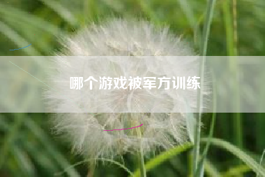 哪个游戏被军方训练