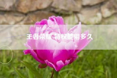 王者荣耀v特权能用多久