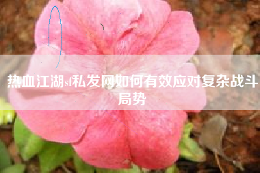 热血江湖sf私发网如何有效应对复杂战斗局势