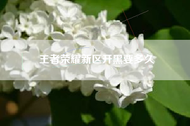 王者荣耀新区开黑要多久