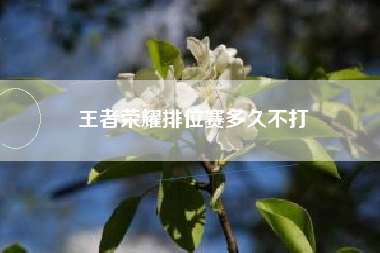 王者荣耀排位赛多久不打