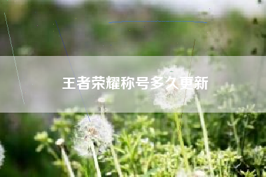 王者荣耀称号多久更新